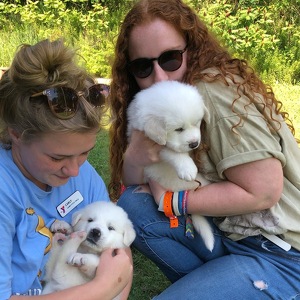 Team Page: LDT 2021!